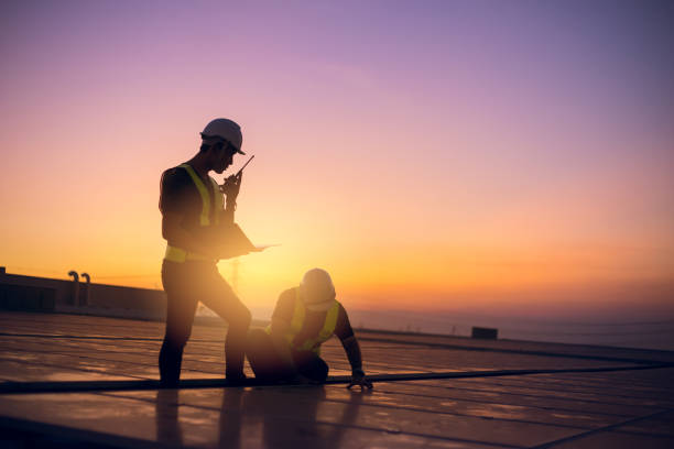 Best Roof Repair Services  in Tuscola, IL