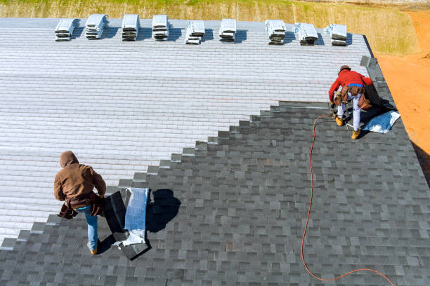 Best Roof Maintenance Services  in Tuscola, IL