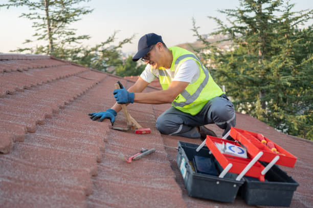 Trusted Tuscola, IL Roofing Contractor Experts