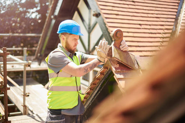 Best Shingle Roofing Installation  in Tuscola, IL