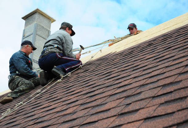Best Shingle Roofing Installation  in Tuscola, IL